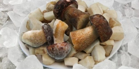 Smrznuti vrganji: kako kuhati, recepti sa fotografijama